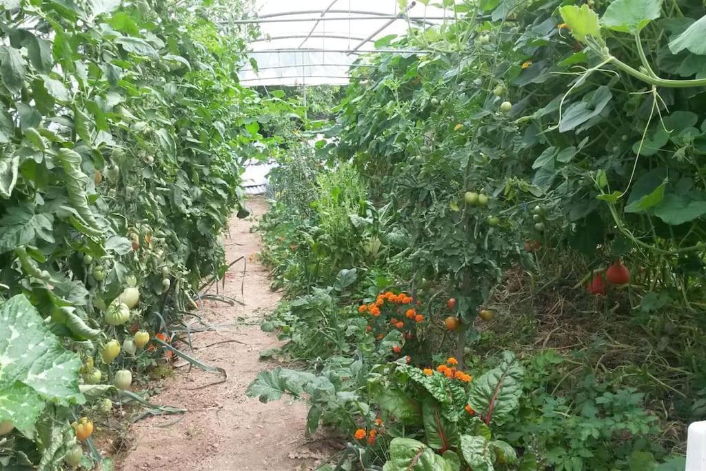 Gite Les Granges Dans Ferme Provencale. 14 Pers Ongles Exterior foto