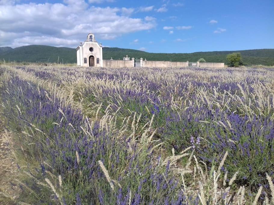 Gite Les Granges Dans Ferme Provencale. 14 Pers Ongles Exterior foto