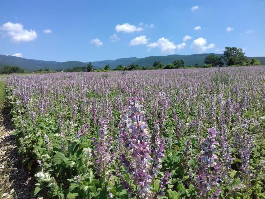 Gite Les Granges Dans Ferme Provencale. 14 Pers Ongles Exterior foto