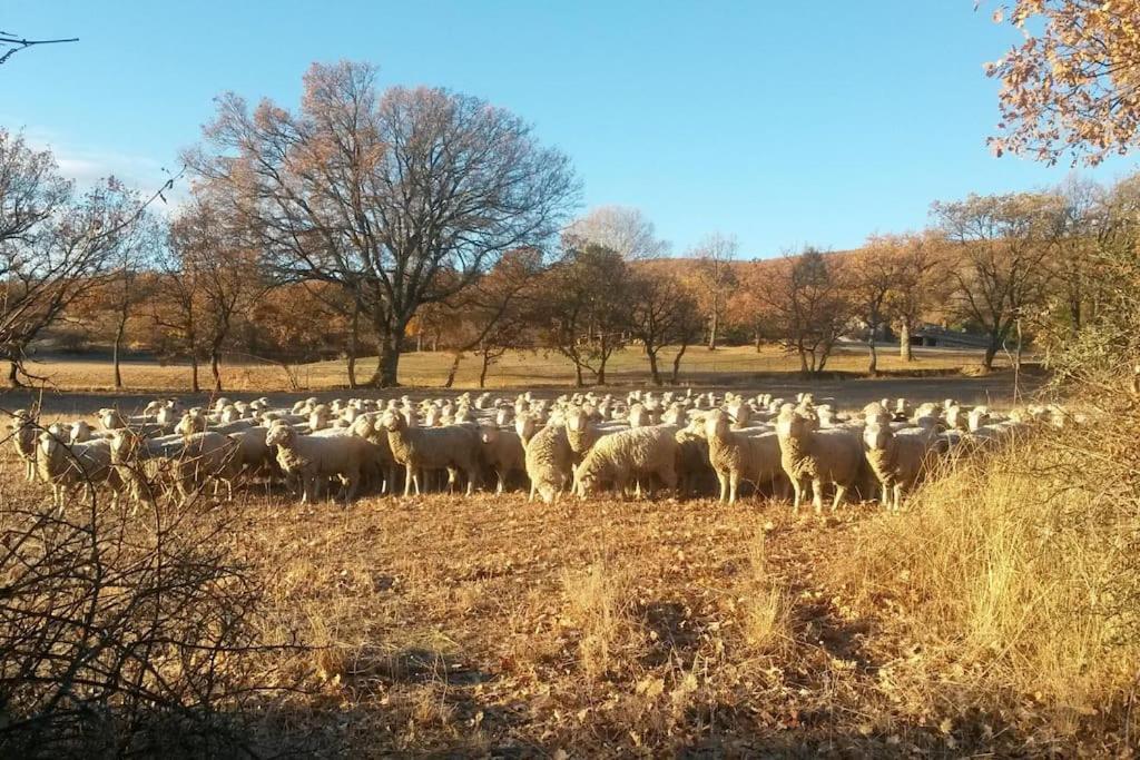 Gite Les Granges Dans Ferme Provencale. 14 Pers Ongles Exterior foto