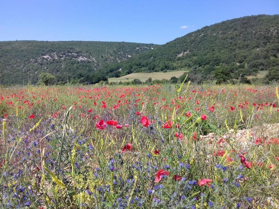 Gite Les Granges Dans Ferme Provencale. 14 Pers Ongles Exterior foto