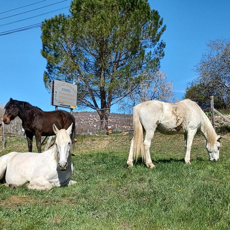 Gite Les Granges Dans Ferme Provencale. 14 Pers Ongles Exterior foto